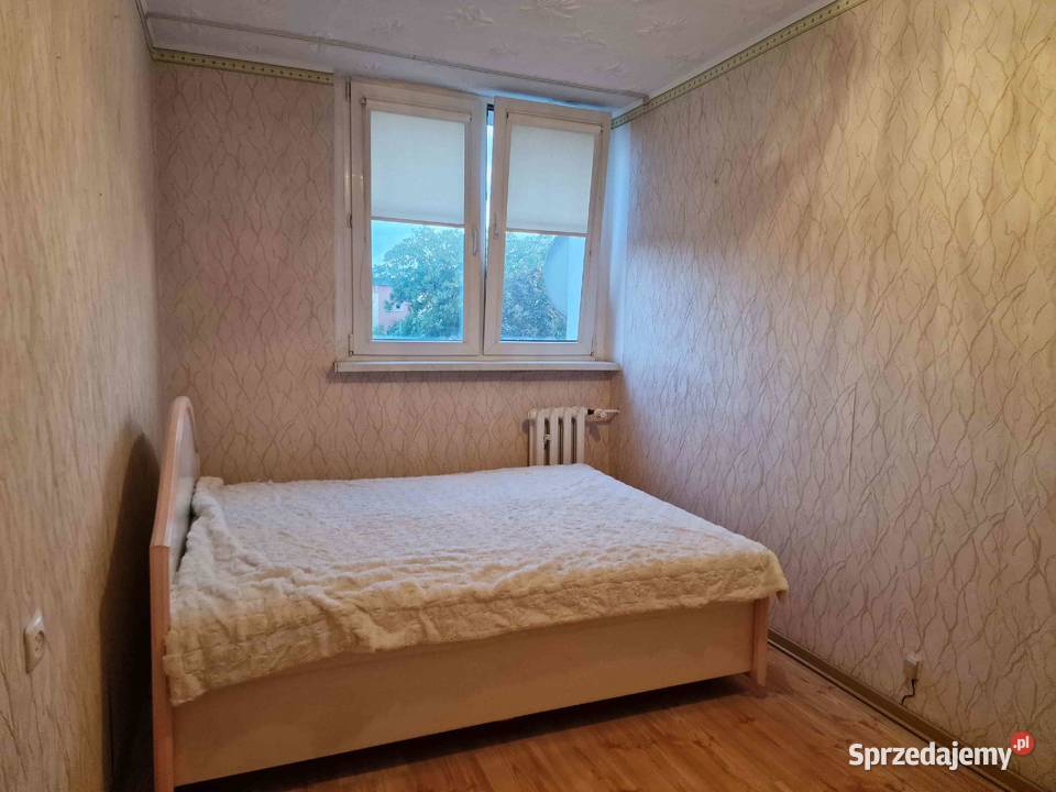 Mieszkanie na sprzedaż 2 pokoje 41 m2 Poznań Piętro 3