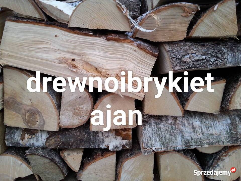 Brykiet drzewny liściasty dębowy walec 7 Supraśl