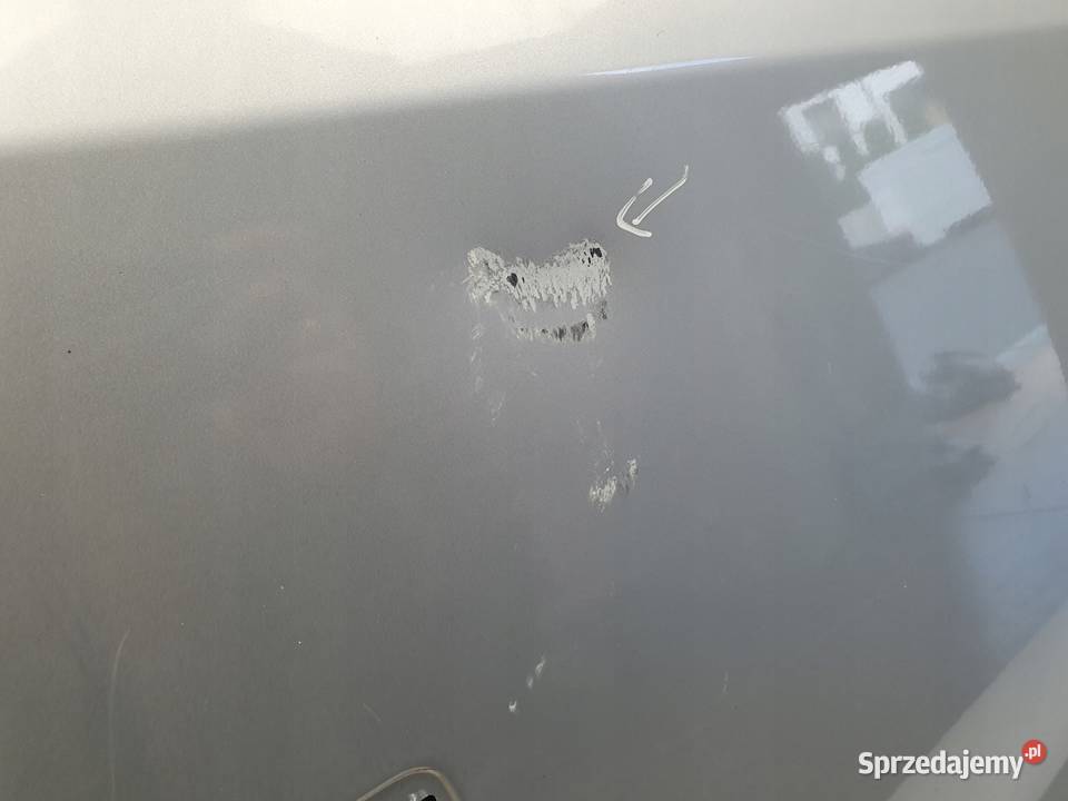 DRZWI PRAWY PRZÓD Opel Vivaro II B Renault Chełm