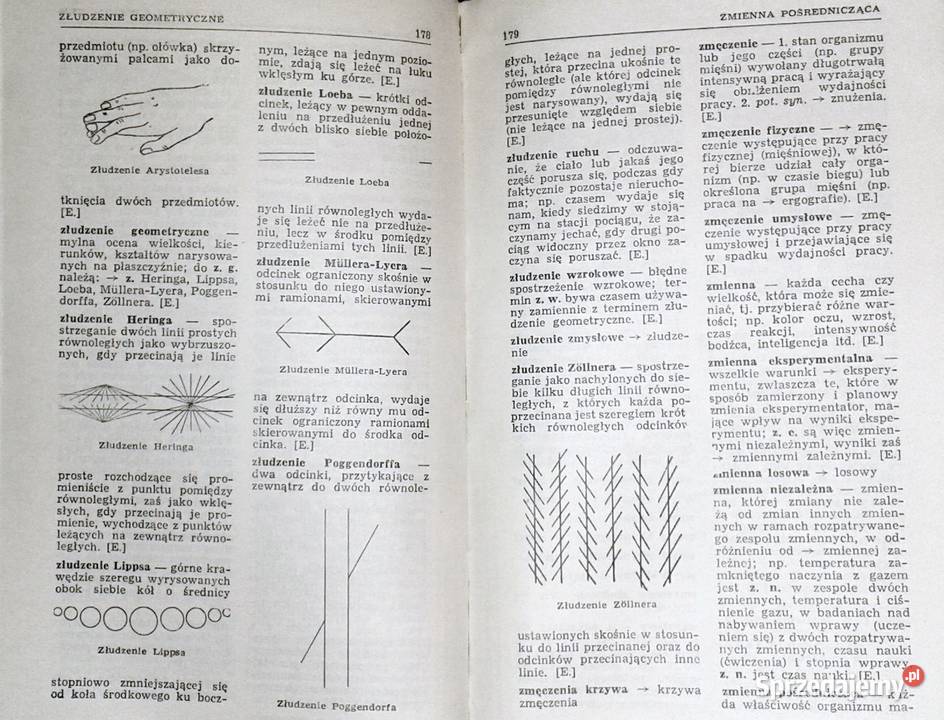 Mały słownik psychologiczny J Ekel J Jaroszyński