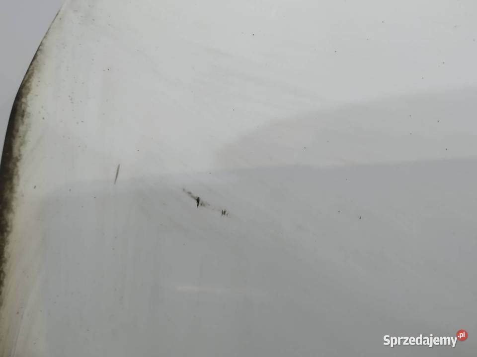 DRZWI LEWE PRZÓD BIAŁE Alfa Romeo Tonale I 2022 świętokrzyskie