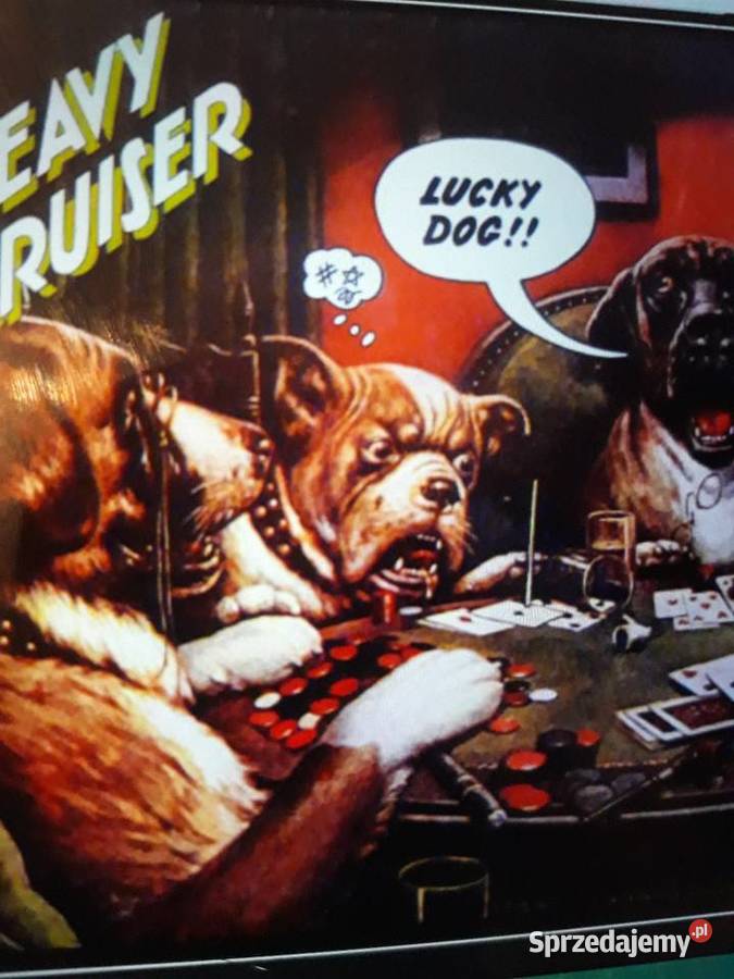 Archiwum rockowej psychodelii HEAVY CRUISER Płyty i kasety Rzeszów sprzedam