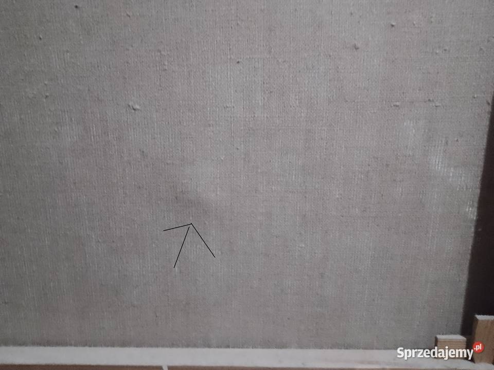 Obraz olejdny3DDzieci pies Świdnik