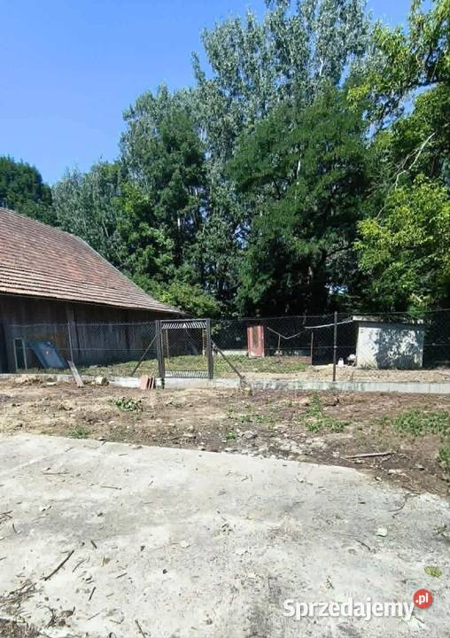 Dom w Samicach z działką 1849 ara Liczba pokoi 3 Sprzedaż Samocice