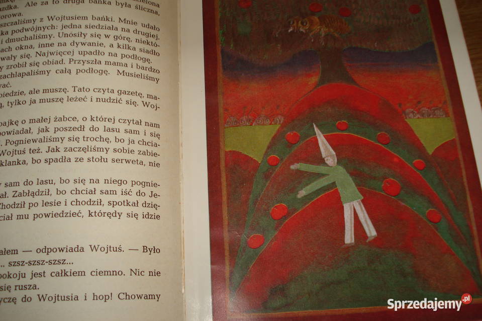 Książka Najwyższa Góra M Buczkówna wyd 1967 r Łódź sprzedam