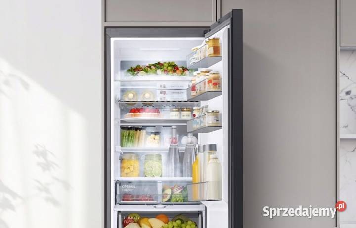 LODÓWKA WOLNOSTOJĄCA Samsung RB38C604DSA Grand Lodówki i zamrażarki