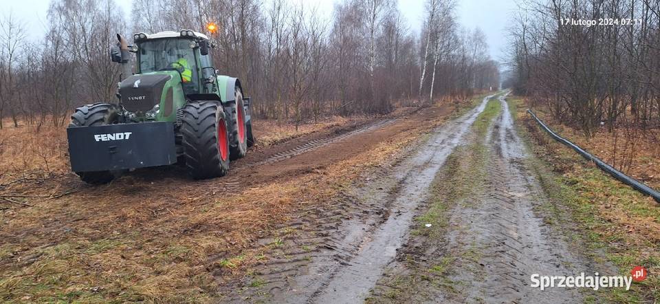Wycinka drzew Czyszczenie działek Mulczowanie Karczowanie i usuwanie drzew