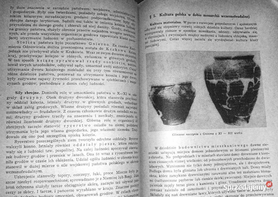 Historia Polski do roku 1795 Helena Michnik Chełm