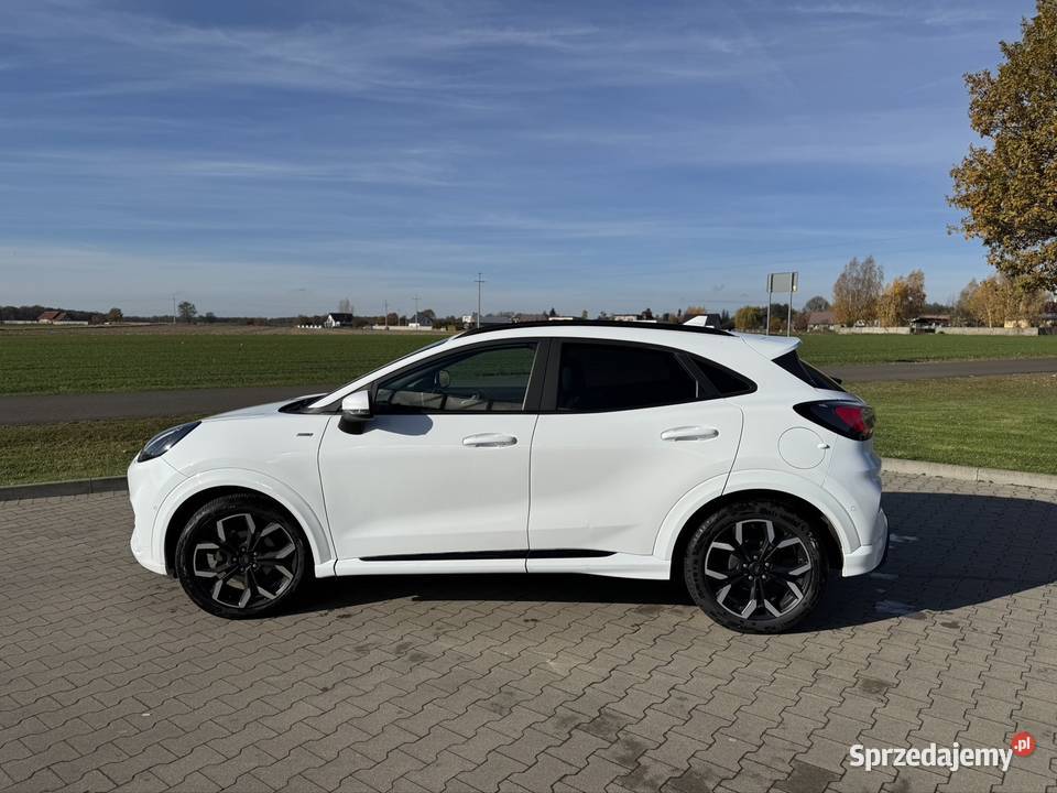 Ford Puma stline nawigacja Lewków