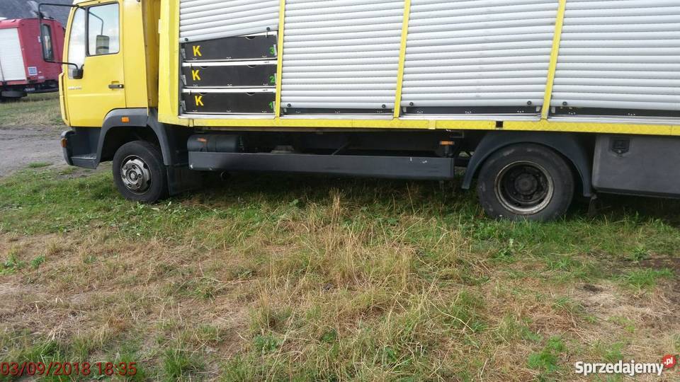 MAN kabina do transportu gołębi sprowadzony Specjalne Samochody ciężarowe dolnośląskie