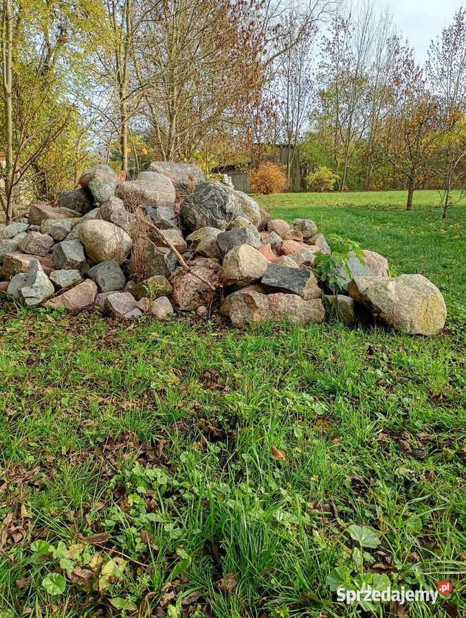 Kamień polny Wielki Garc