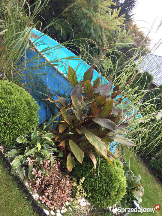 Działka jeziorem wysoki standard Wierzchucinek