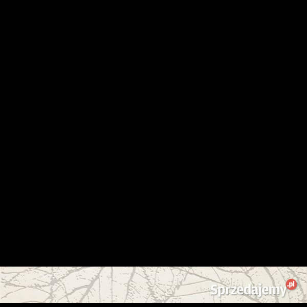 Listwa Antonella bianco 7 x 60 Paradyż aktualne Białogard