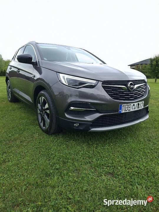 Opel Grandland x Pilzno