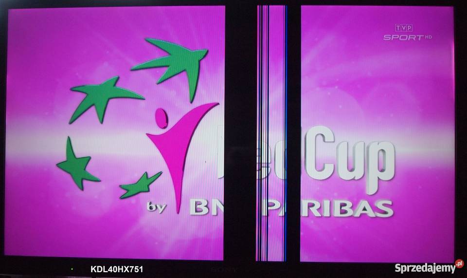 Tcon logika WOLC4LVO1 do TV Sony KDL40HX751 Warszawa