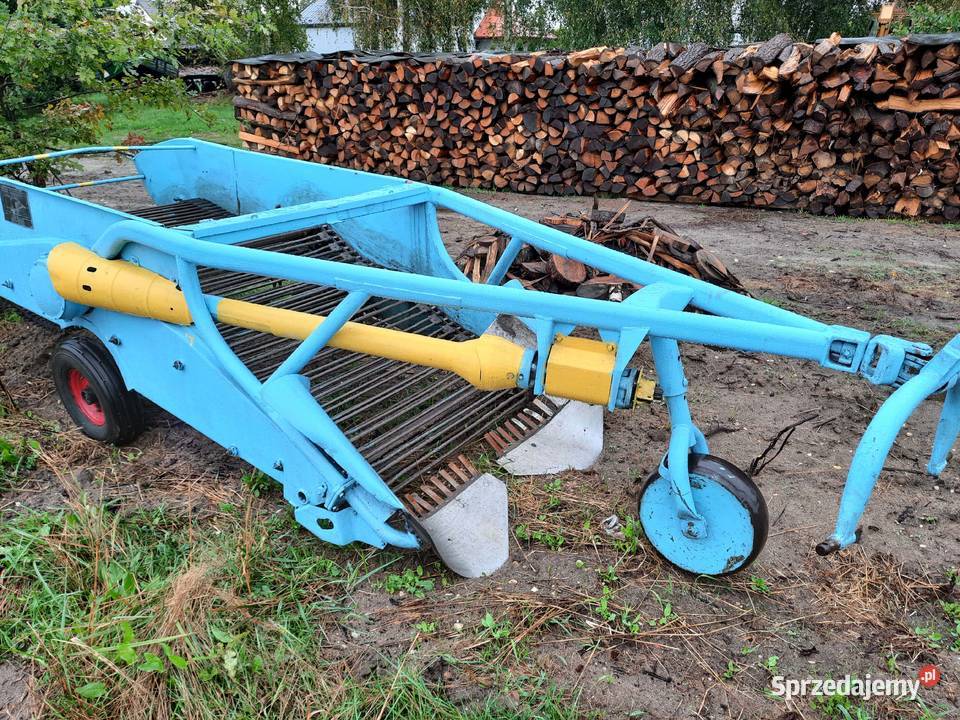 Kopaczka do ziemniaków elewatorowa Bucze
