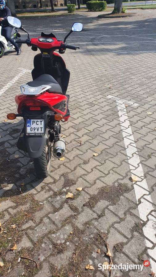 Skuter Zipp Steed 50 4t Zipp Wieleń