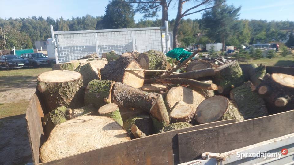 drewno opałowe kominkowe Mosina sprzedam