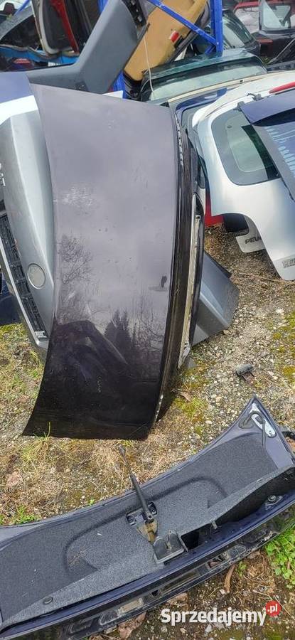 Honda Accord 6 Maska Tył Lakier NH605P osobowe Maski Części samochodowe małopolskie