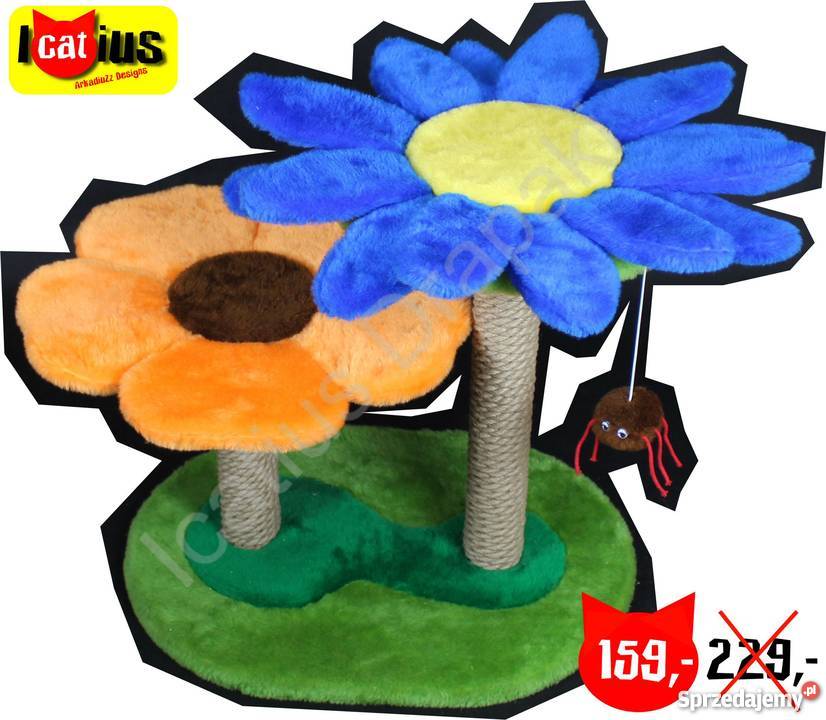 Drapak kota Icatius Wyjątkowy łódzkie Łódź