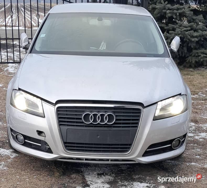 Sprzedam Audi A3 8p Blizanów Drugi