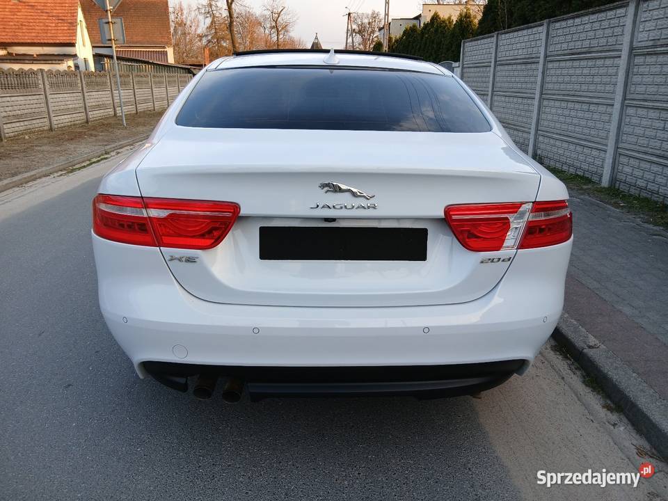 Jaguar XE 20 Panoramadach Automat Biała perła z Dobrzyca