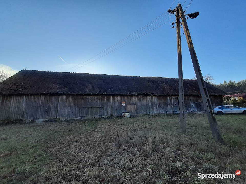 Stodoła drewniana deski bale 100 lat Imionek sprzedam