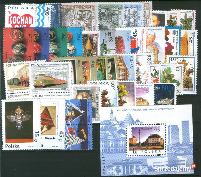 Zn Fi Rocznik 1995 Gliwice