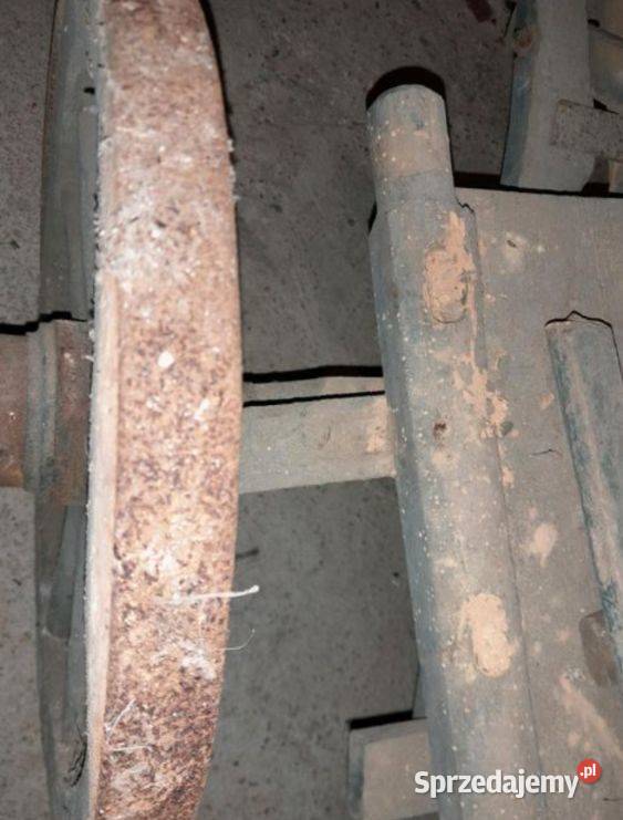 Wózek ogrodowy Bogatynia