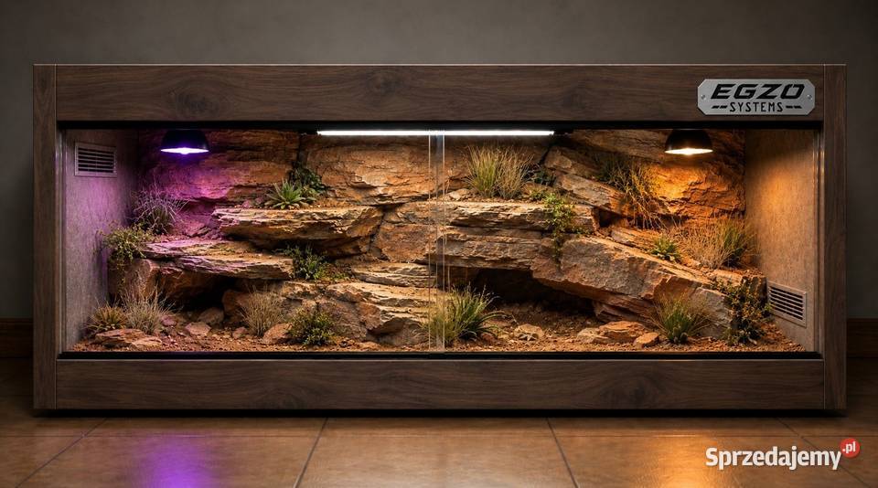 Terrarium pustynne agamy brodatej żółwia Terrarystyka Sopot sprzedam