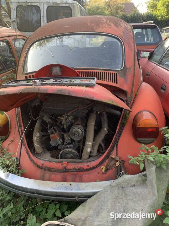 Sprzedam 4 sztuki VW Garbus 1302 Rok produkcji 1955 lubuskie Świebodzin