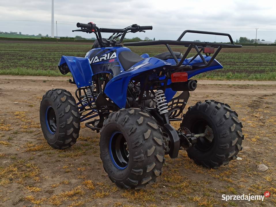 Quad 125 Varia automat 31Rkoła 8 duża rama Piotrków Kujawski sprzedam
