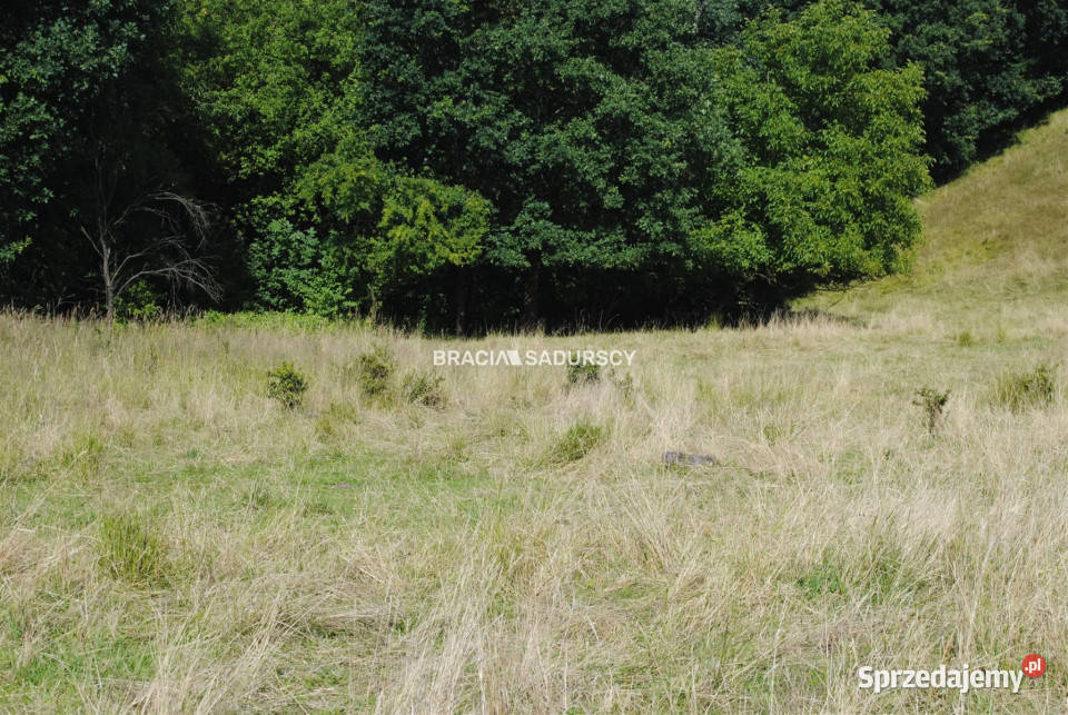 Grunt 5802m2 Chorowice utwardzona