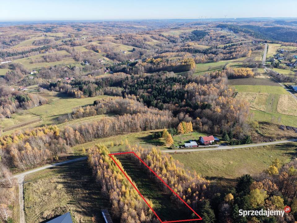 Działka lesie Gwoznica Górna Gwoźnica Górna