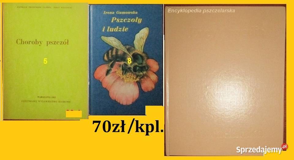 Pszczoły pszczelarstwo pasieka ule choroby Łódź