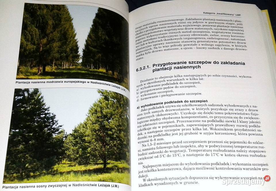 Leśna baza nasienna w Polsce Wojciech Fonder Jan lubelskie Chełm sprzedam