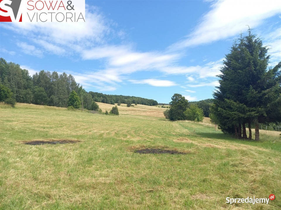 Ekspozycja południowo zach prąd już dostępny Głuszyca