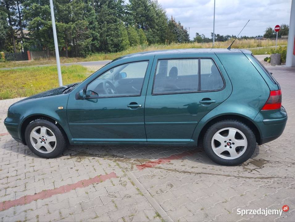 VW Golf 4 18 223 18 lat w rodzinie Jarocin