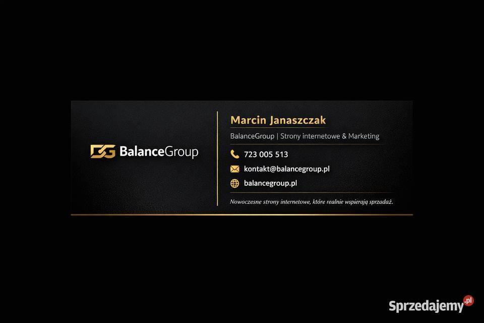 Strony Internetowe Tworzenie Stron WWW Sklepy wielkopolskie Poznań