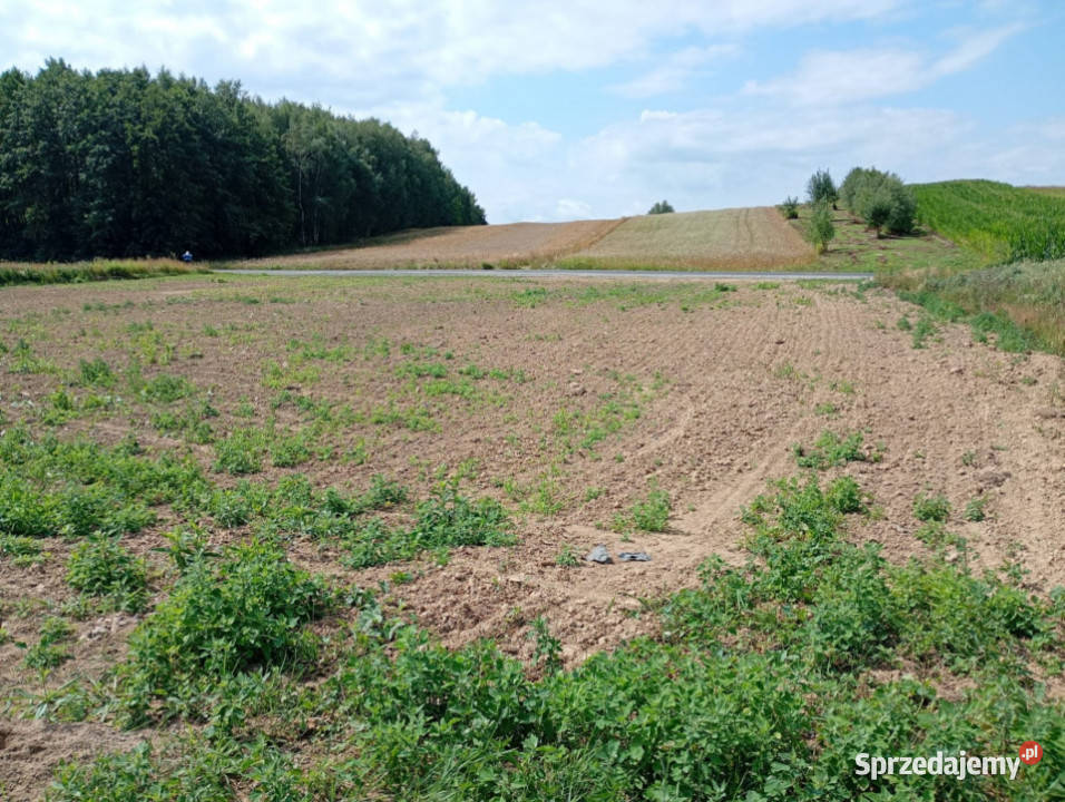 działka budowlana 2240 ara Wz Rzeszów 2240m2