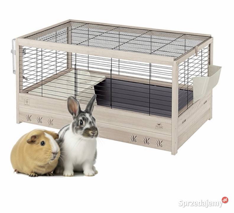 Klatka królika Kielce