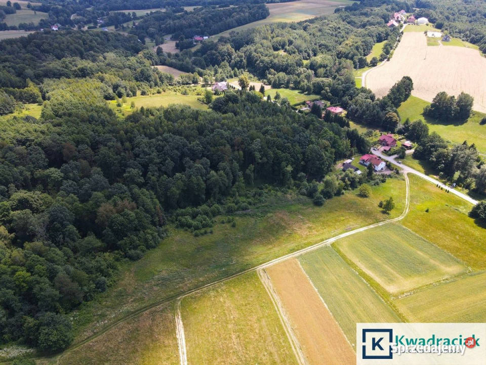 sprzedaży działki 4527m2 Lalin sprzedam