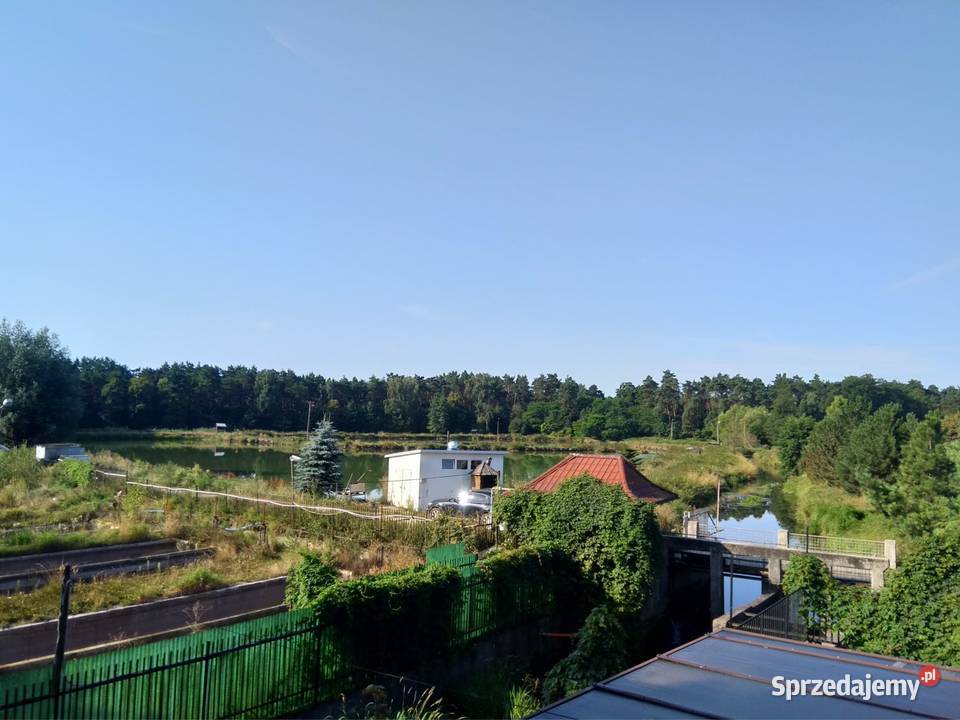 Stawy hodowlane rybne las działka 542 ha Działka lubelskie Krężnica Jara sprzedam