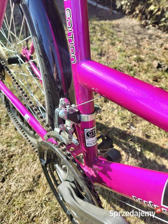 Rower Luna Lizard 26 wielkopolskie Dopiewo