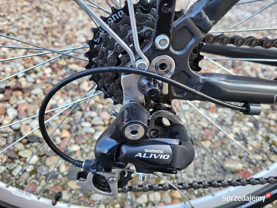 Zestaw dwóch rowerów trekingowych plus bagażnik