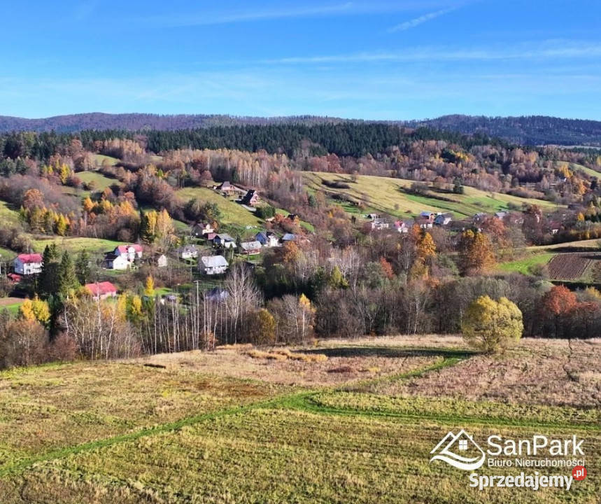 Działka Bezmiechowa Dolna 5000m2 rolna Grunty i działki podkarpackie