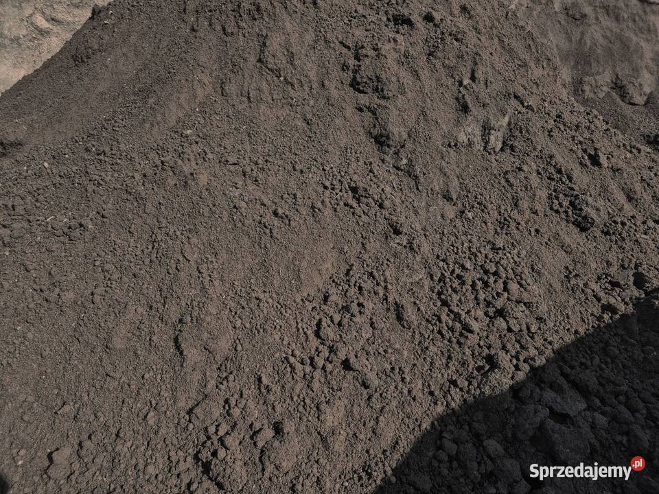 Czarnoziem czarnoziem siany Ziemia pomorskie Stężyca