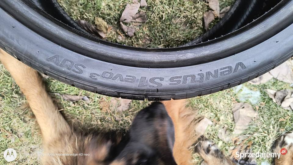 Opona Hankook 295 30 22 SUV jedna sztuka 8mm lato śląskie Bielsko-Biała