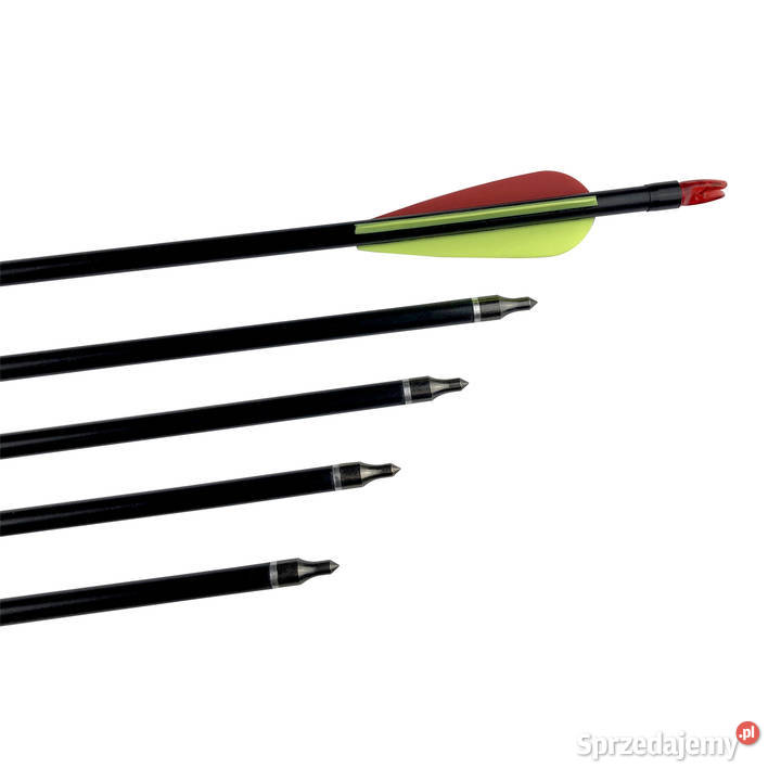 Strzały do łuku wykręcane groty strzała 10 sztuk Nowy Sącz sprzedam