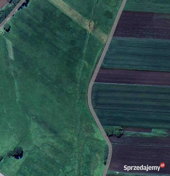 Dzierżawa łąki Dzierążnia rolna świętokrzyskie